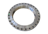 JIS Standard Customized Rolled Ring Forging for Industrial Use
