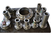 DN600 Duplex Stainless Steel Forged Flanges For Ball Valve